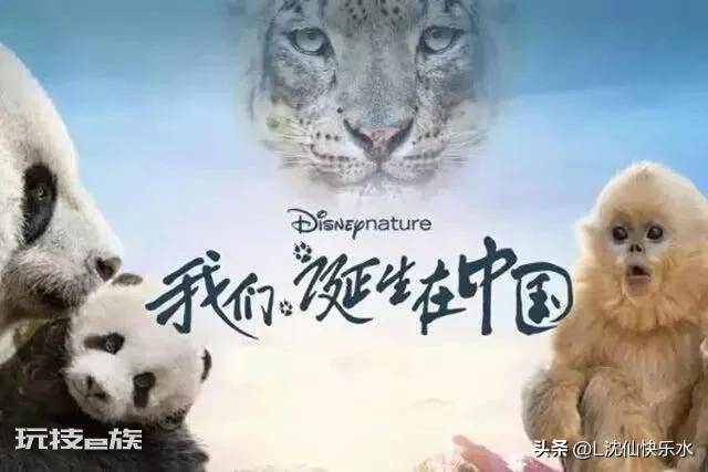 好看的儿童电影排行榜前十名(十部国产必看的儿童电影)-图片1
